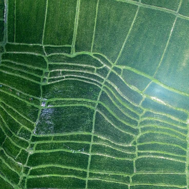 Outdoor terrace seating suitable for families in Zurich